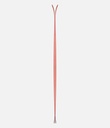 Ski Black Crows Camox Freebird 2025