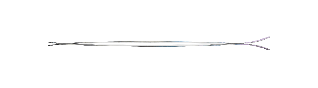 Ski Nordica Santa Ana 80 S 2025 