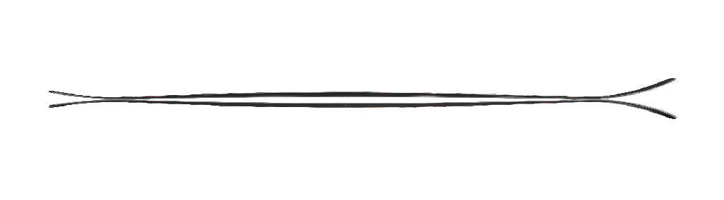 Ski Nordica Enforcer 99 2025 